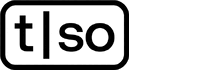 Torso Electronics