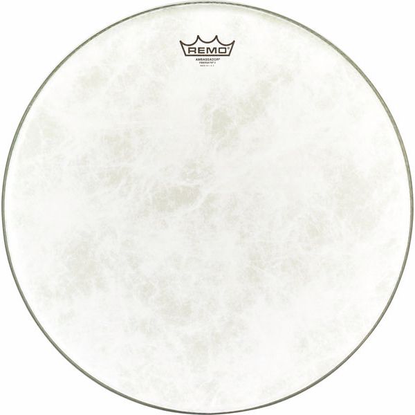 Remo 18