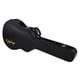 Epiphone 940-E519 Case