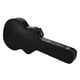 Gretsch Case G6241