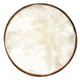 Studio 49 EF250 Drum Head for RT250