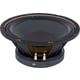 the box Speaker 10-250/8-A