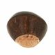 Terre Shaker Coconut - 453