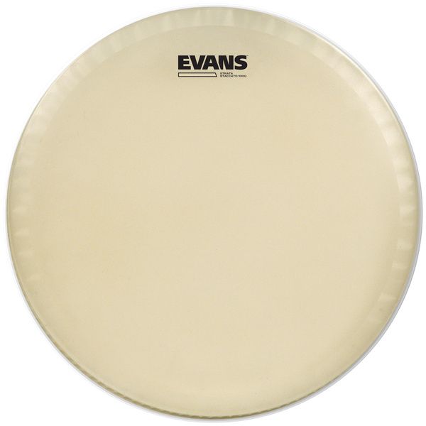 Evans 14
