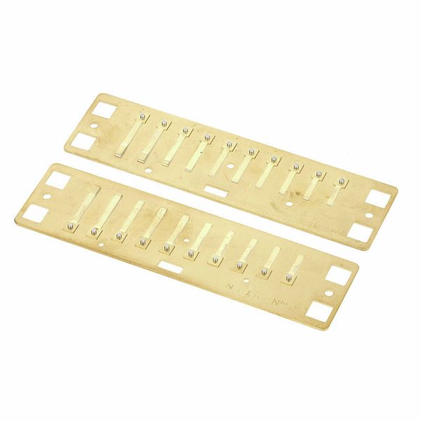Lee Oskar Natural Minor Reedplates G