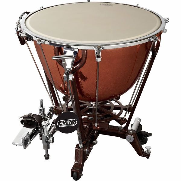 Adams 29