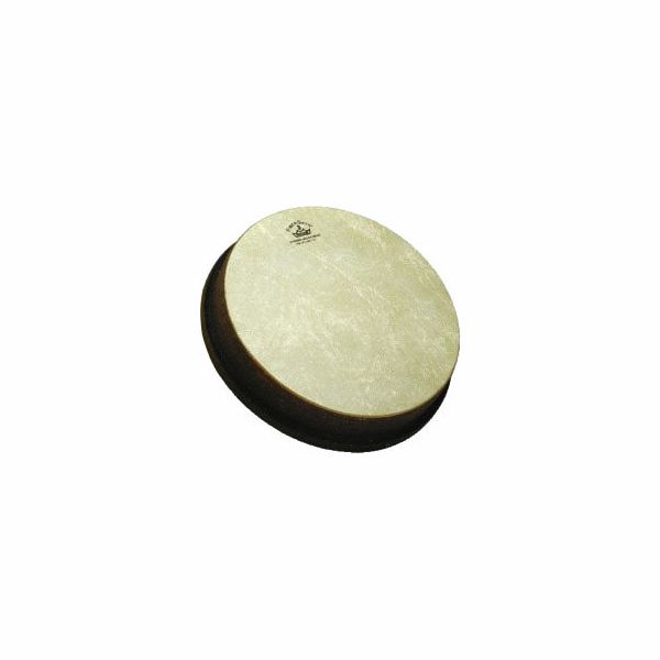 Remo 12