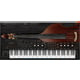 Ample Sound Ample Bass Upright v4