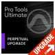Avid Pro Tools Ultimate Perpet. UPG