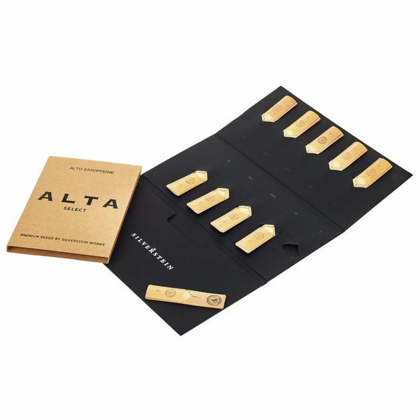 Silverstein ALTA Alto Saxophone 4.0