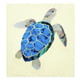 Jockomo Nature Sea Turtle Sticker