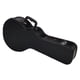 Ortega F-Style Mandolin Case
