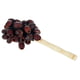 Terre Stickshaker Kemiri Seeds