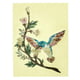 Jockomo AS Hummingbird Inlay Sticker