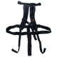 Ortega Case Backpack Strap