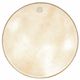 Kentville Drums 18