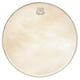 Kentville Drums 13