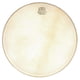 Kentville Drums 13