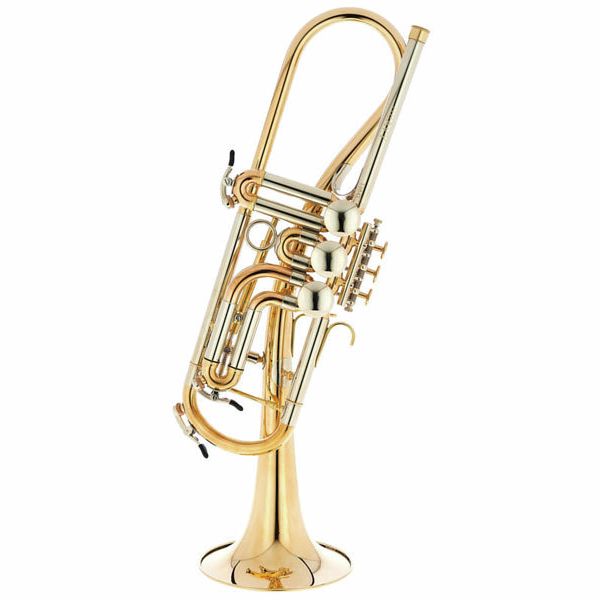 Schagerl Ganschhorn heavy UL