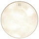 Kentville Drums 22