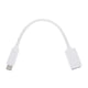 Thomann USB C OTG Adapter