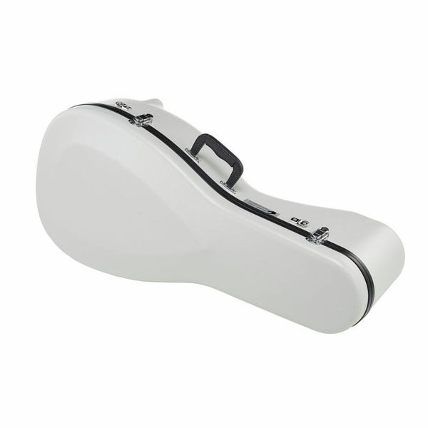 Shuster Renaissance Lute Case