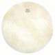 Kentville Drums 14+