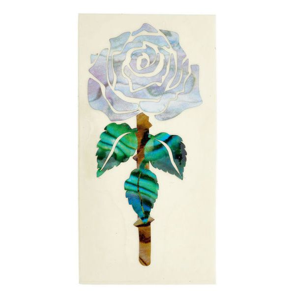 Jockomo Cash Rose