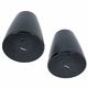 Bose Professional DesignMax DM5P black