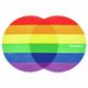 Technics Slipmat Pride
