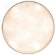 Kentville Drums 22
