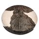 Terre Shaman Drum Goat Tree 50