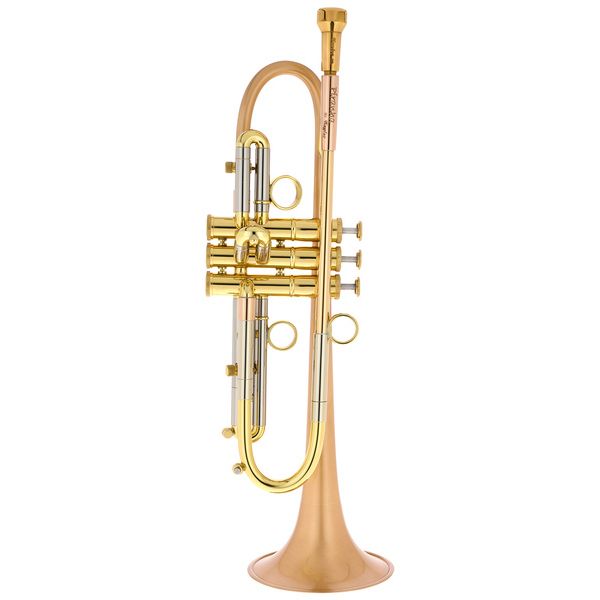 Taylor Trumpets Piranha Bb-Trumpet BF