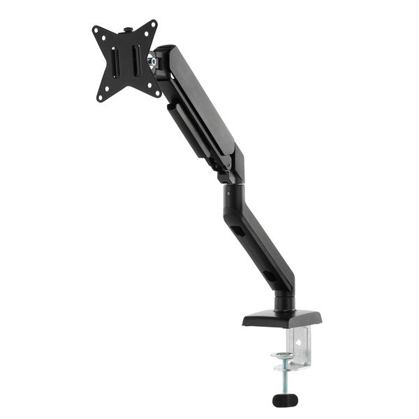 Roadworx Basic VESA Monitor Arm
