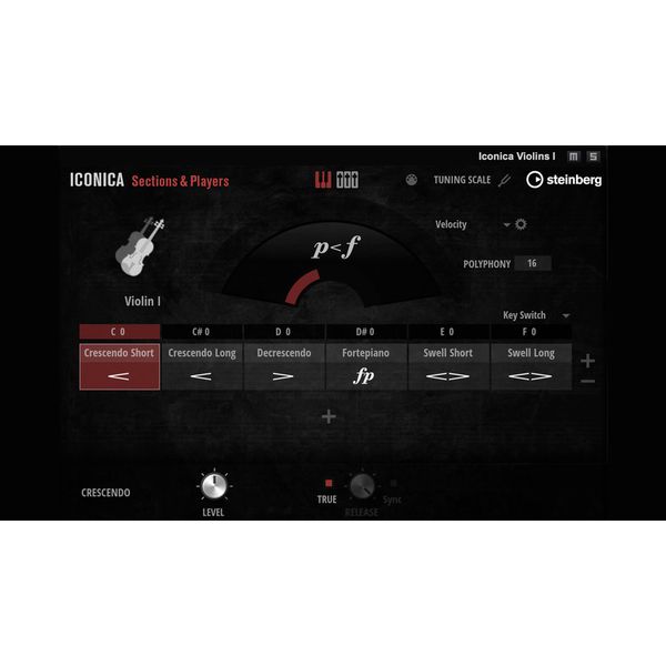 Steinberg Iconica Sections & Players