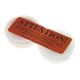 Ahead Custom Molded Earplugs