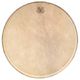 Kentville Drums 14+