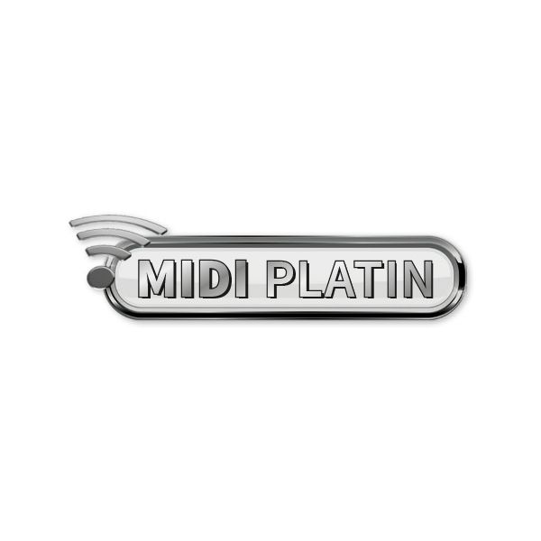 STmusic MIDI Accordion Platinum