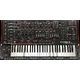 Cherry Audio Crumar DS-2