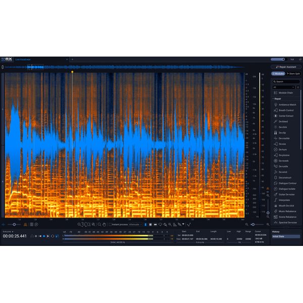 iZotope RX 12 Standard