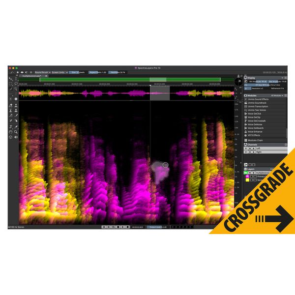 Steinberg SpectraLayers Pro 13 Comp. CG